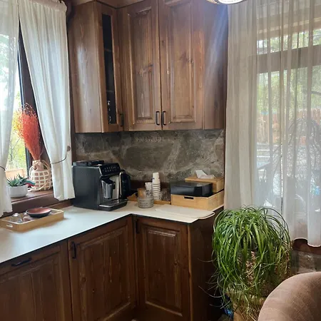 Вилла къща в родопа планина