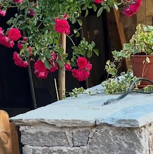 къща в родопа планина Βίλα