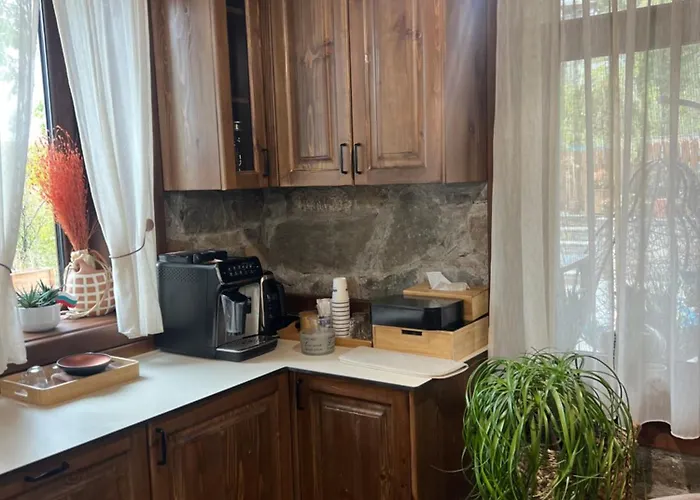 Βίλα къща в родопа планина